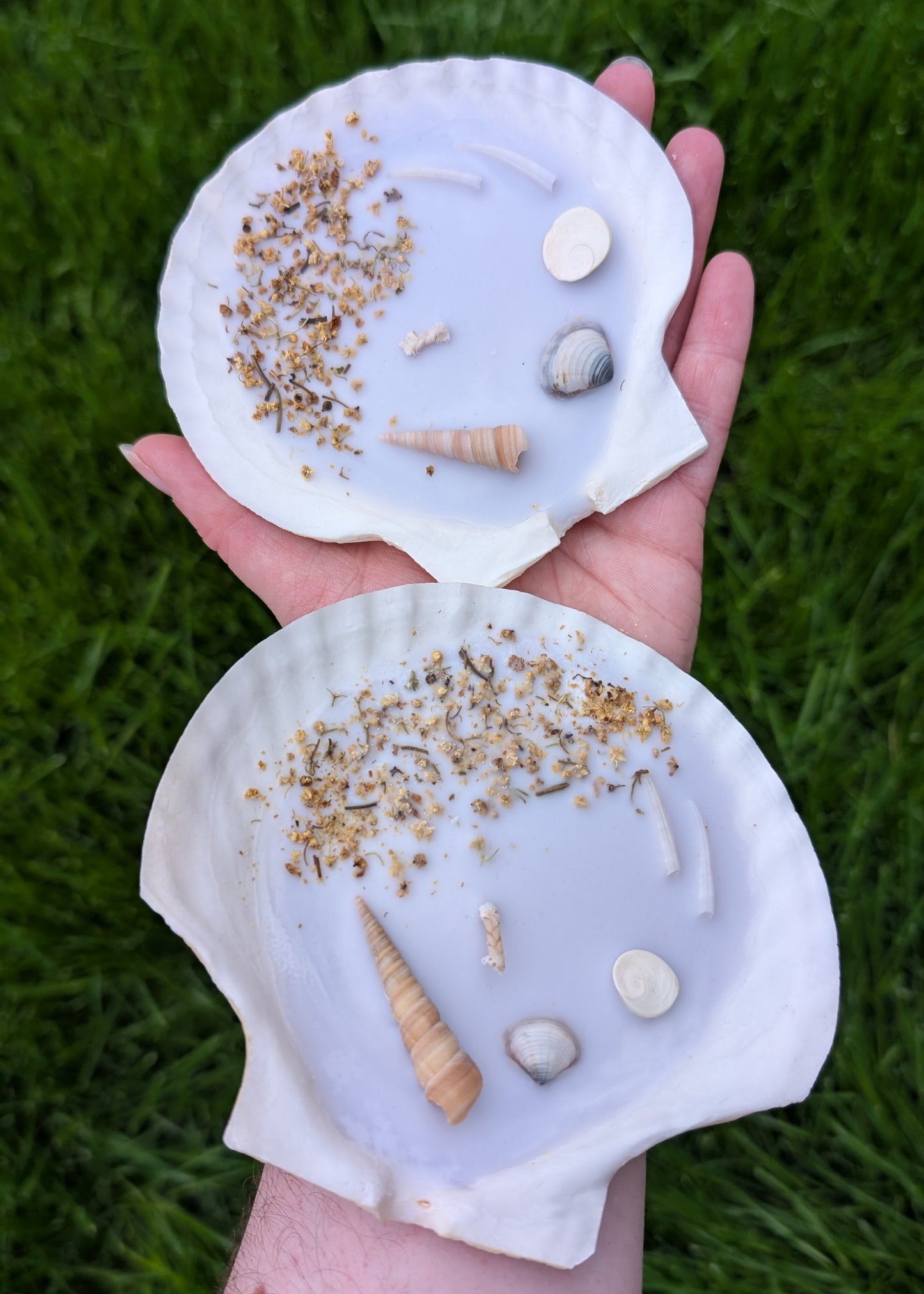 Bougie Coquillage - Mermaid Treasure