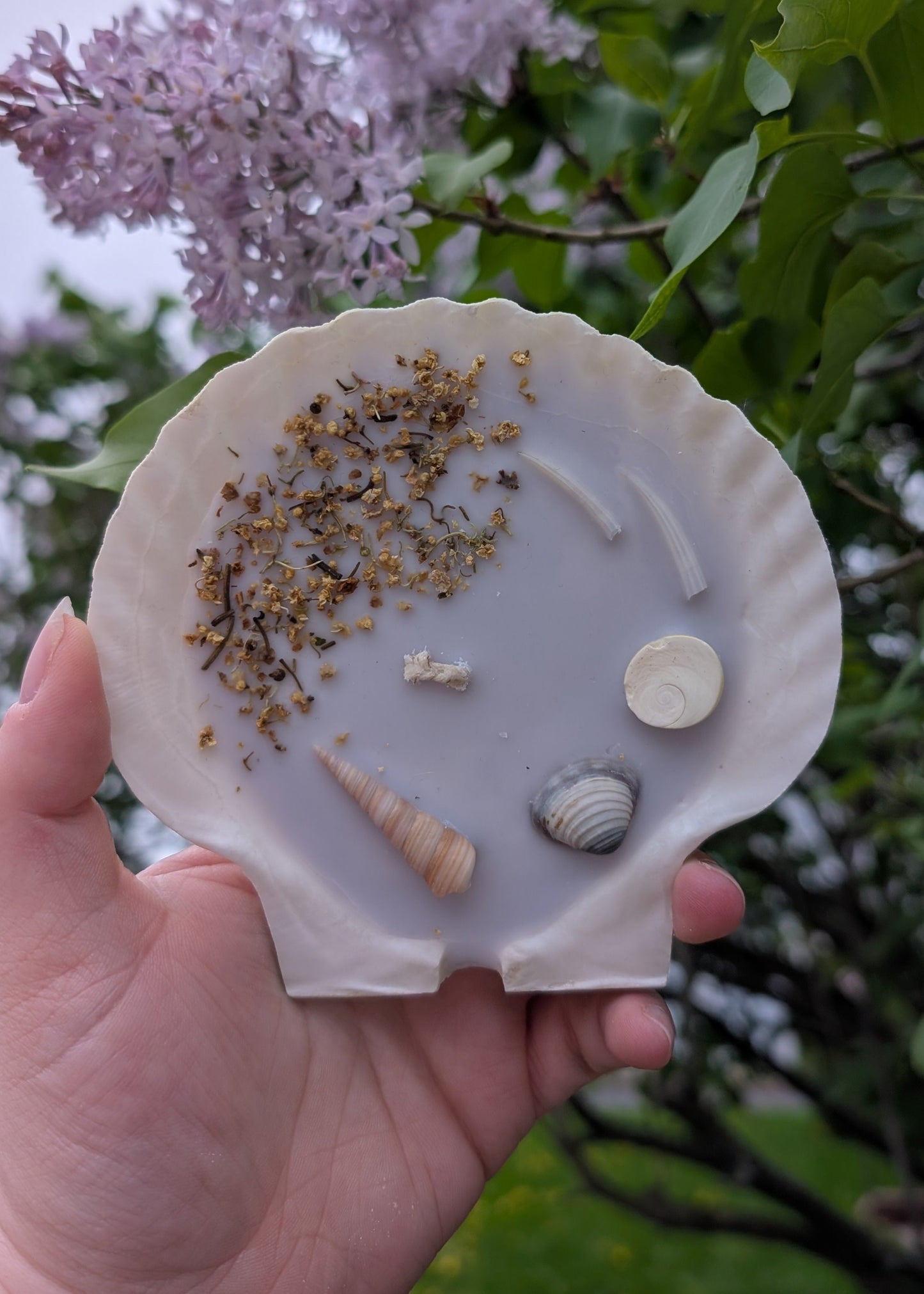 Bougie Coquillage - Mermaid Treasure