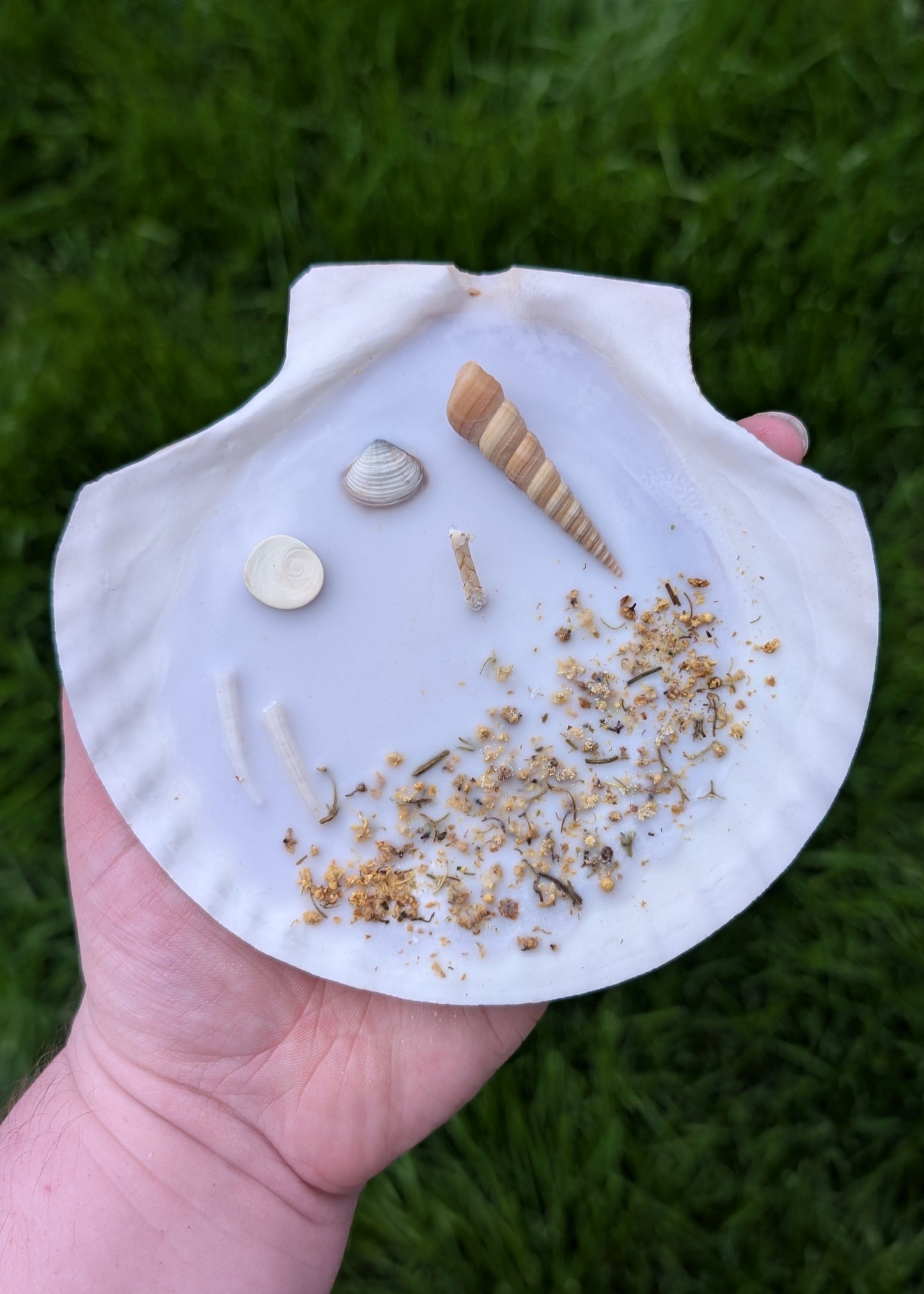 Bougie Coquillage - Mermaid Treasure