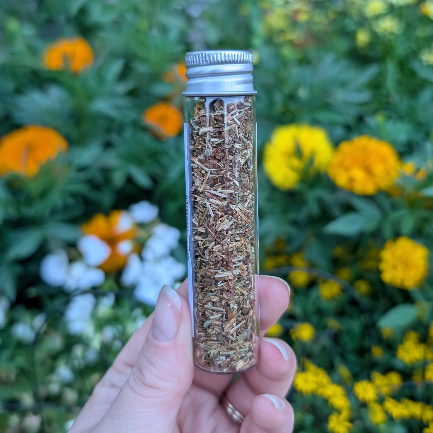 Millepertuis (St. john's wort)