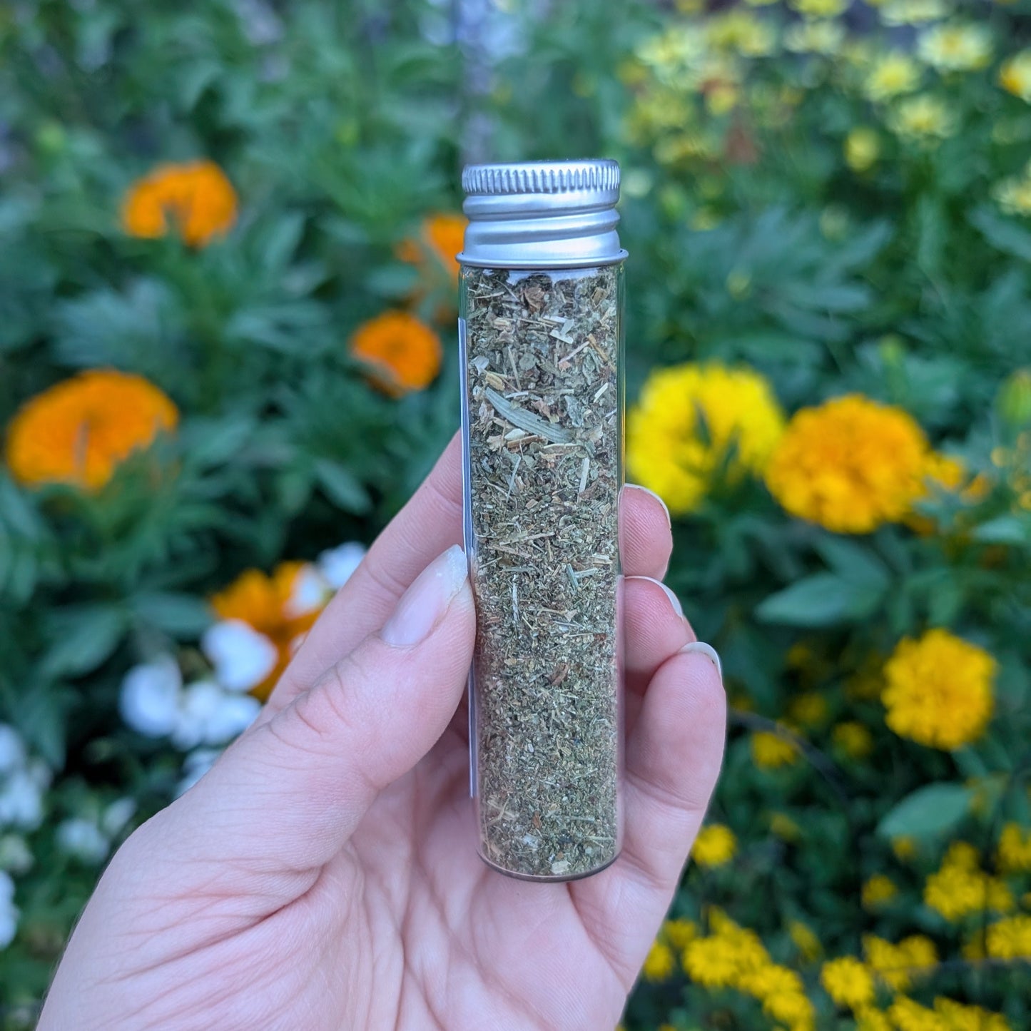 Aigremoine (agrimony)