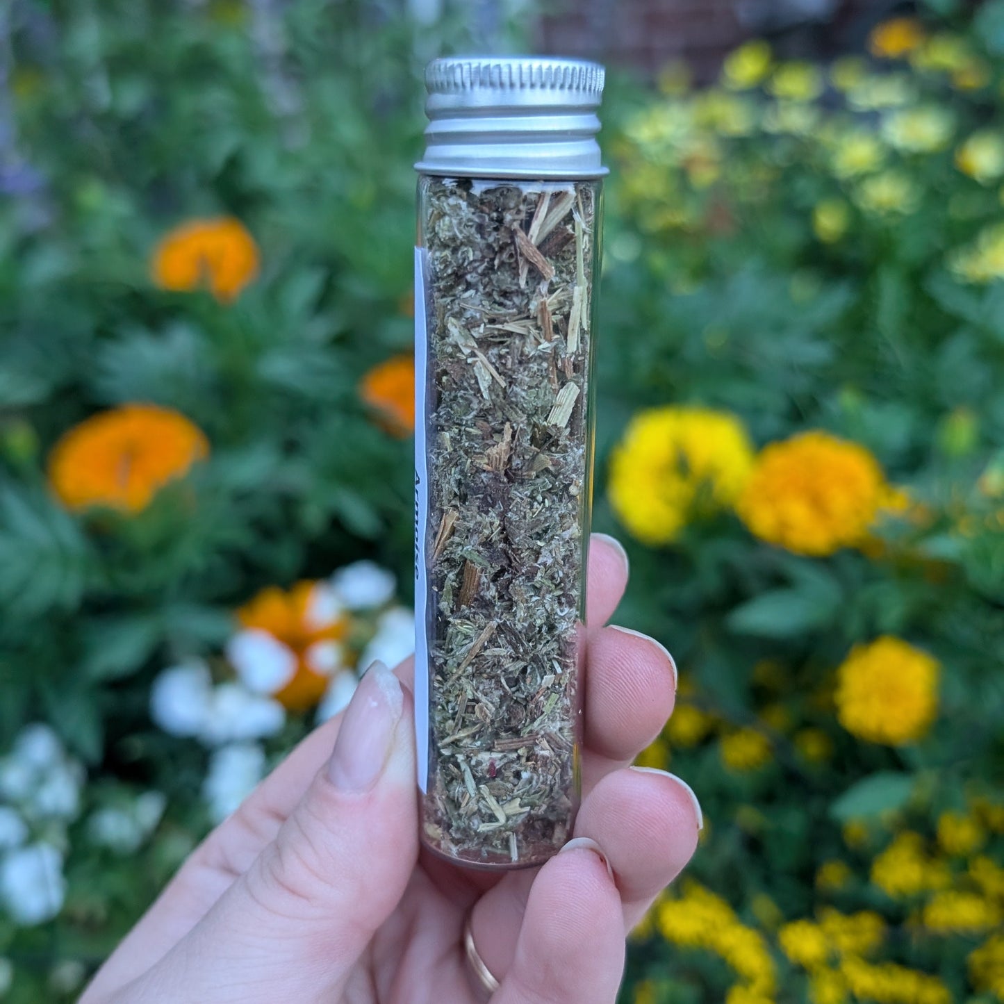 Armoise (mugwort)