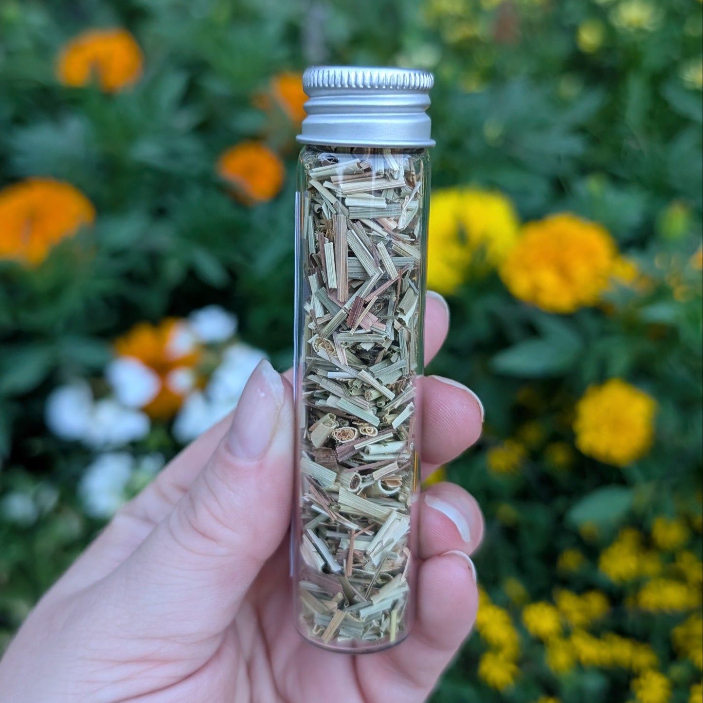 Citronnelle (lemongrass)