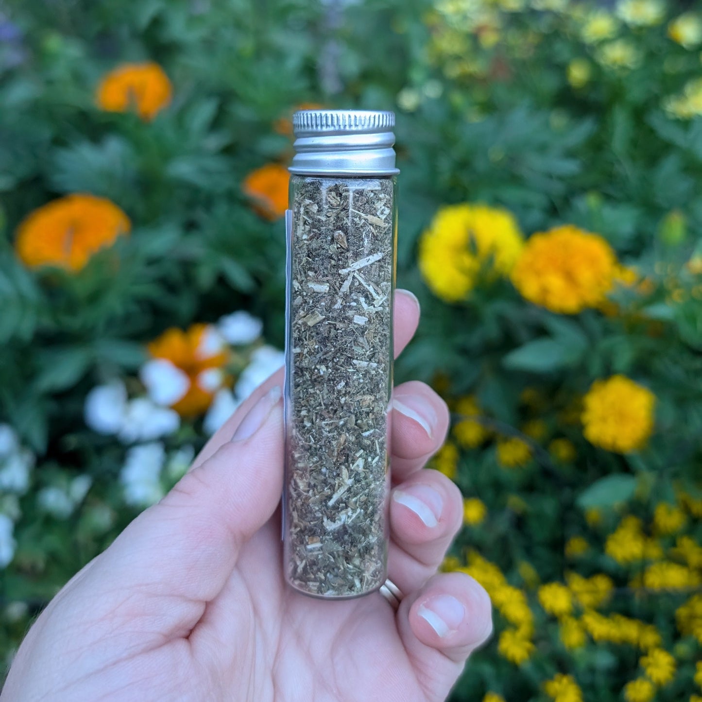 Agripaume (motherwort)