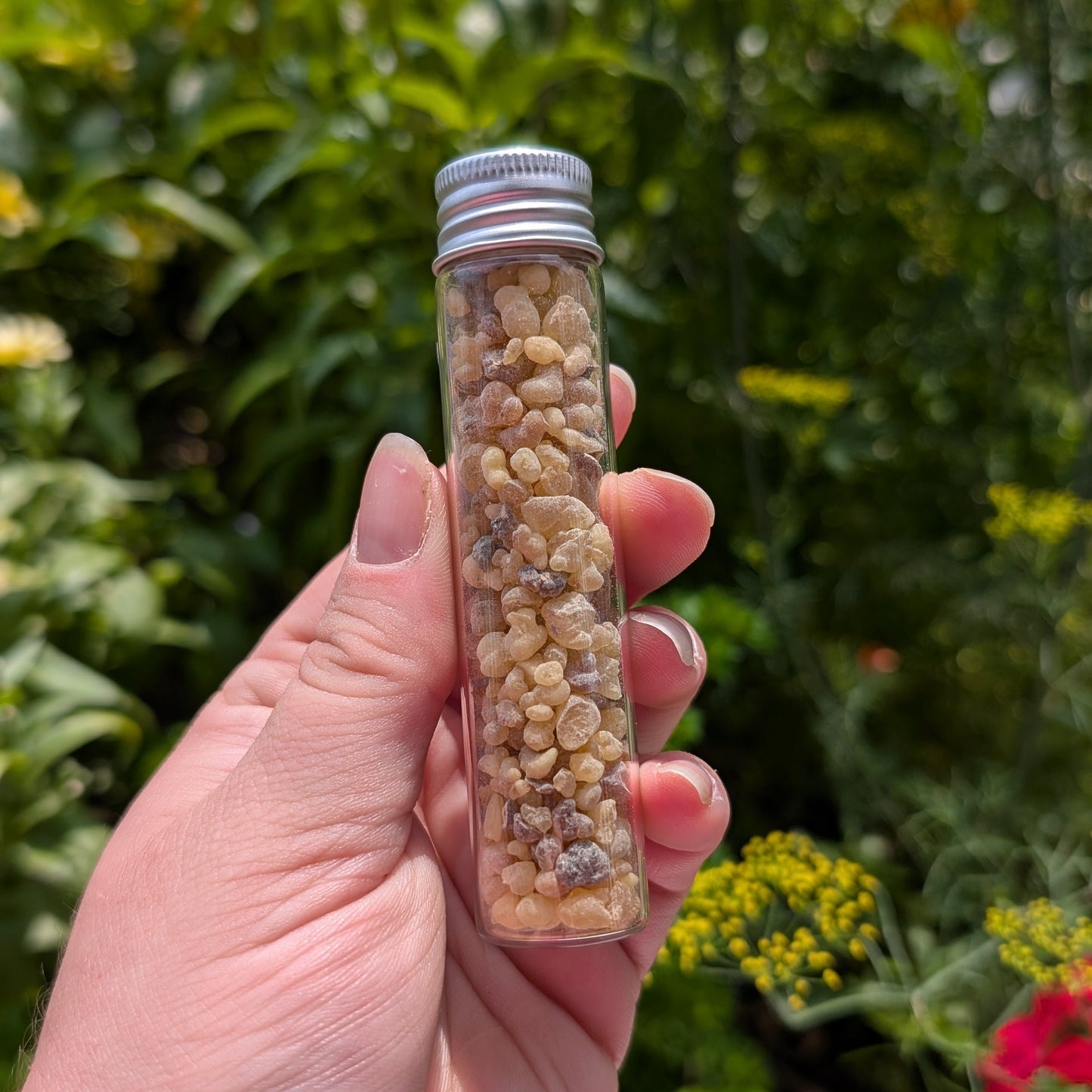 Frankincense