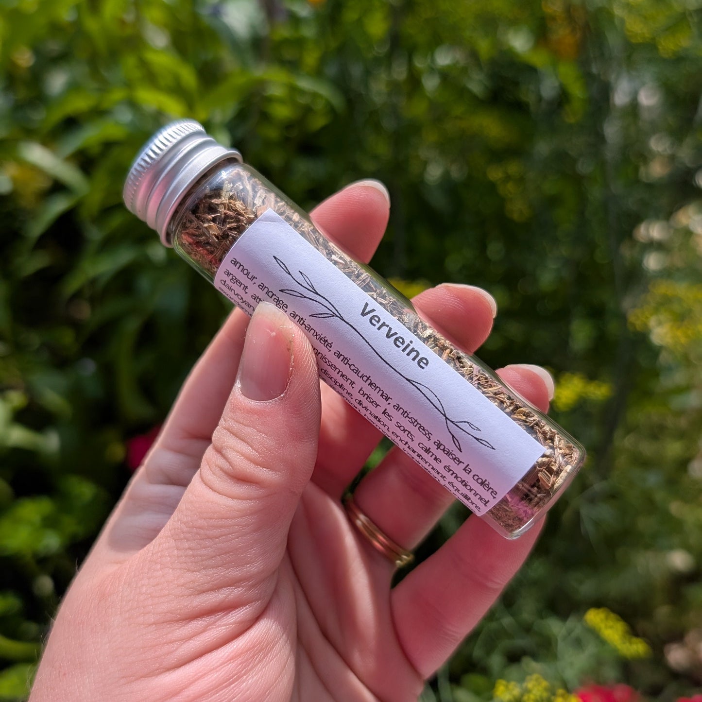 Verveine