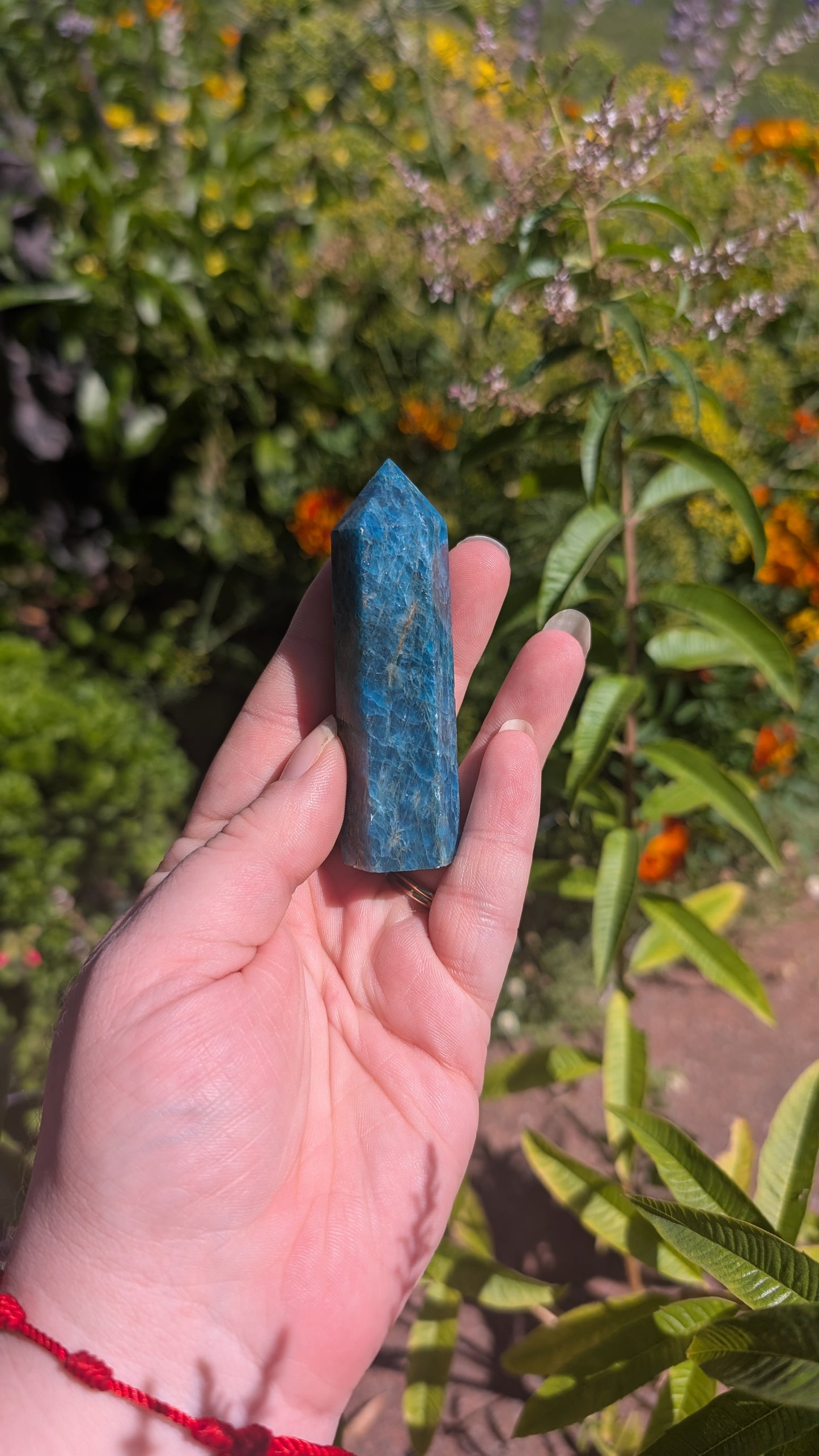 Apatite - tour