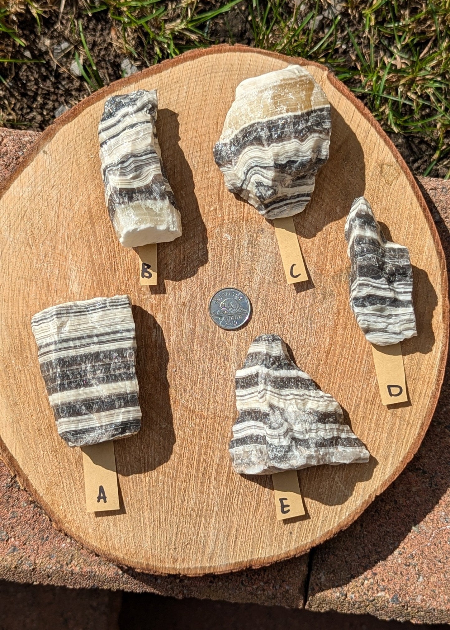 Calcite Zèbrée raw XL