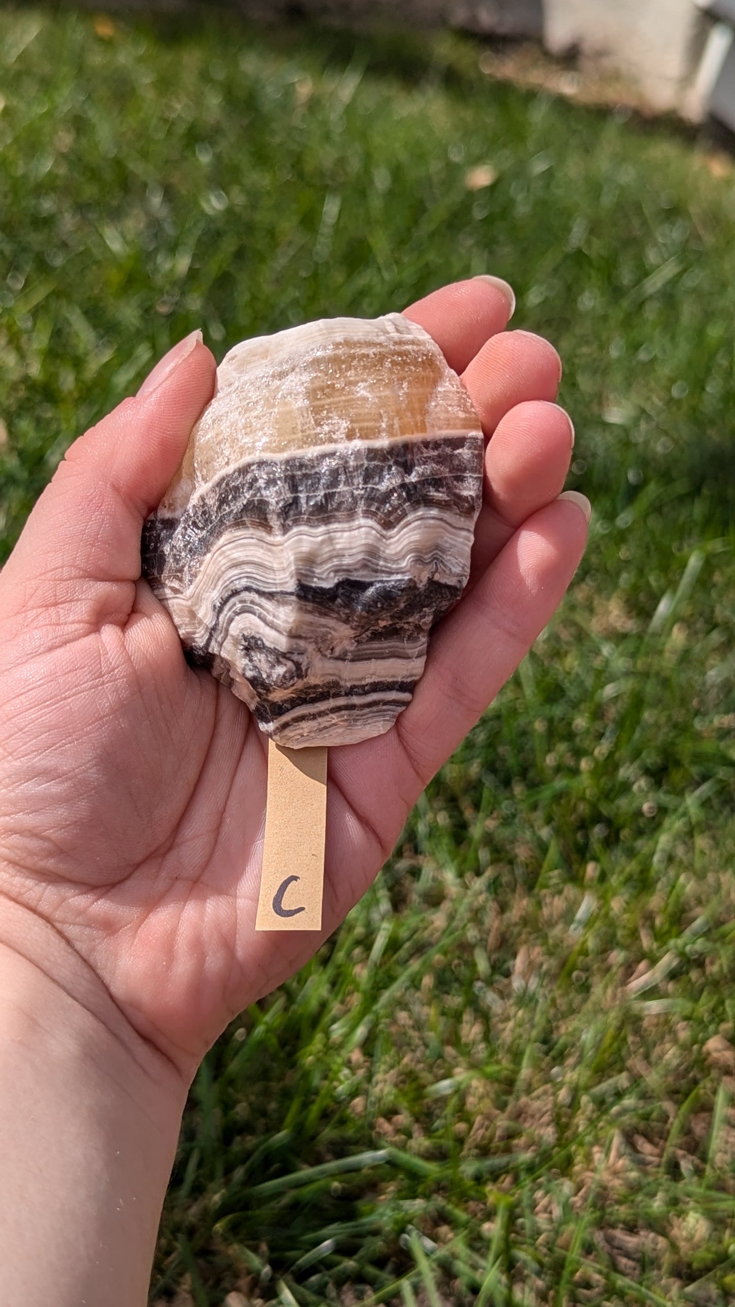 Calcite Zèbrée raw XL