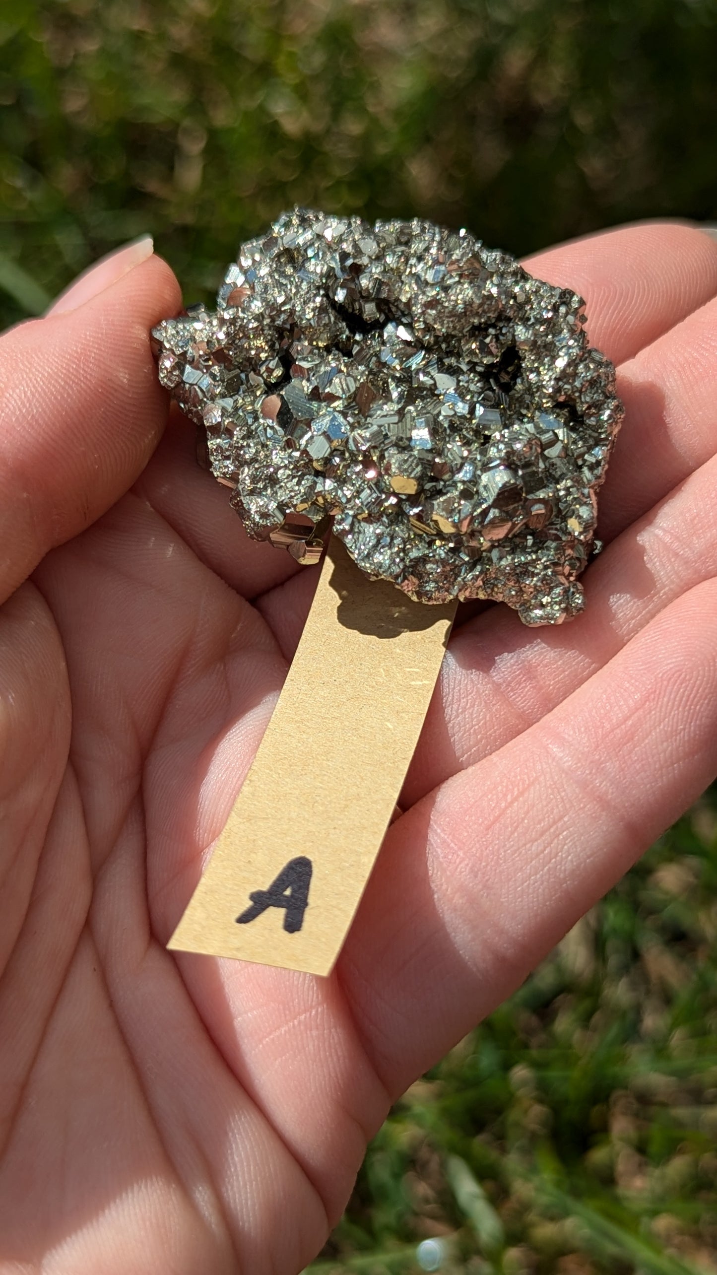 Pyrite specimen - petit