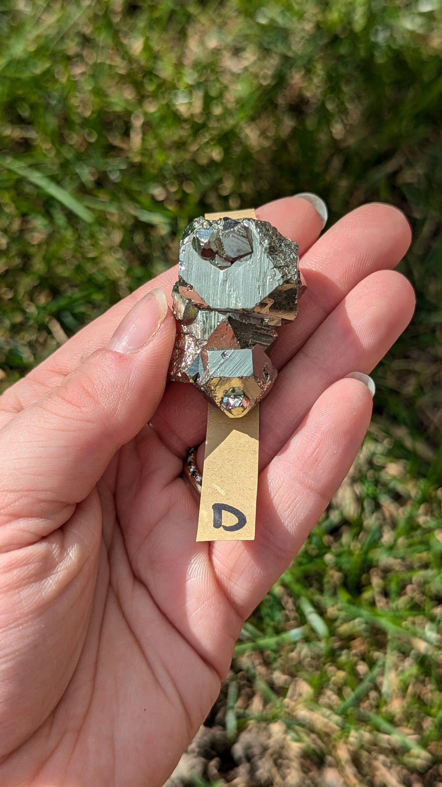 Pyrite specimen - petit