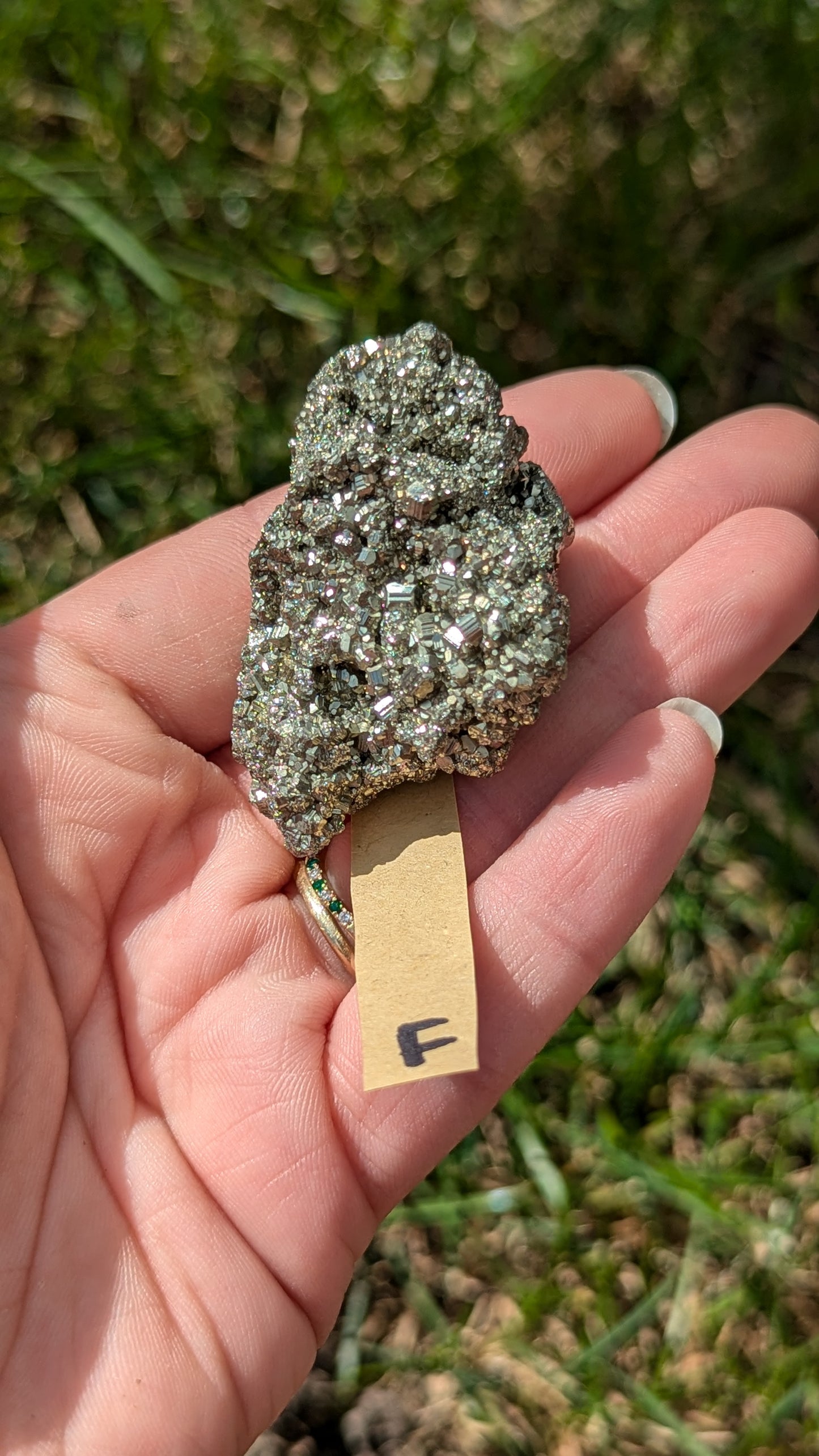 Pyrite specimen - petit