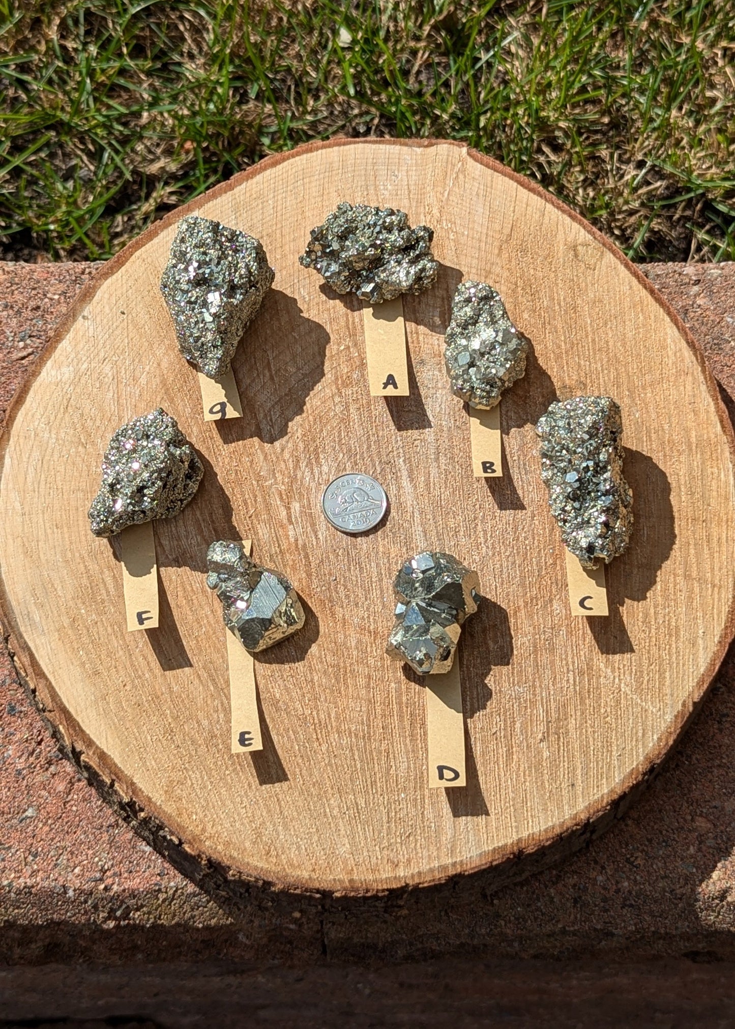 Pyrite specimen - petit