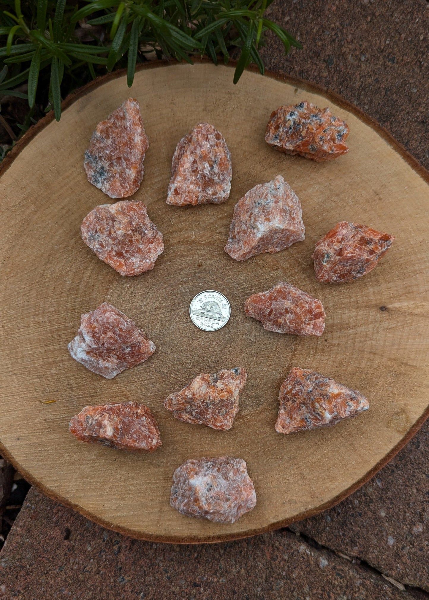 Calcite orange raw - moyenne
