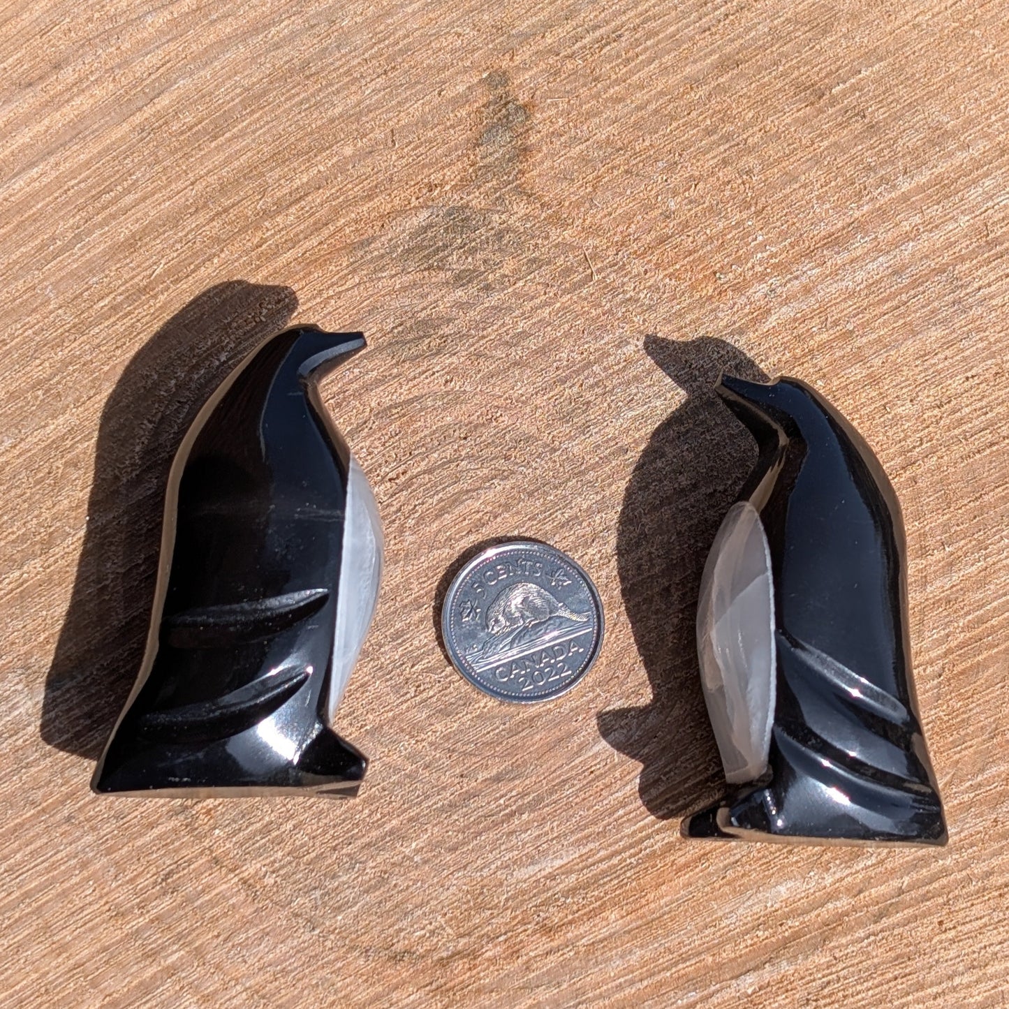 Onyx + Quartz - Pingouin