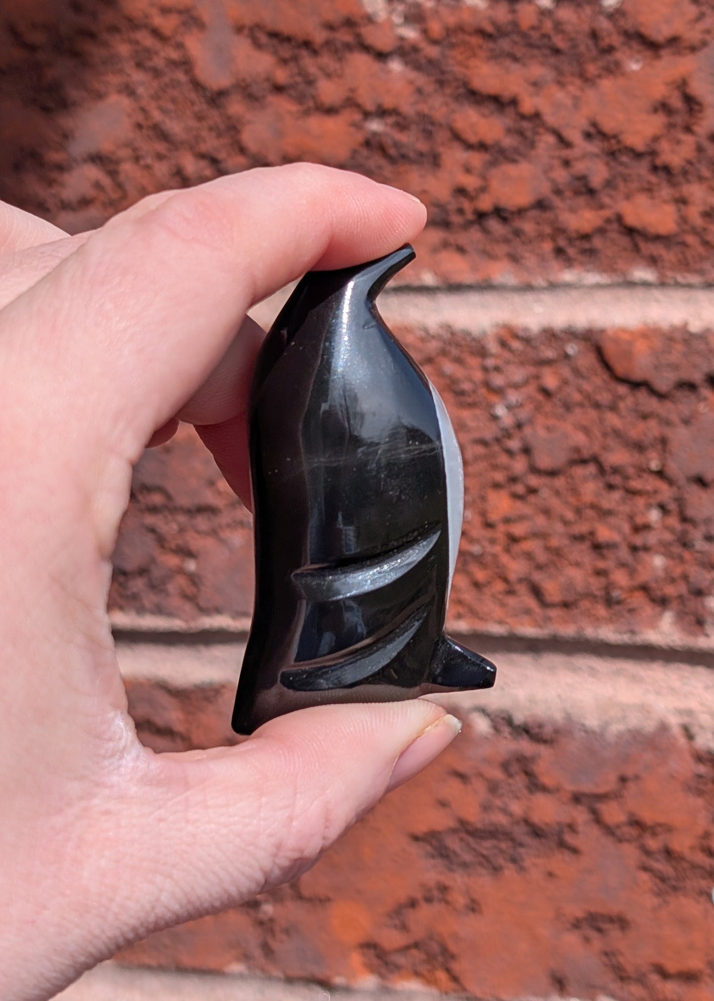 Onyx + Quartz - Pingouin