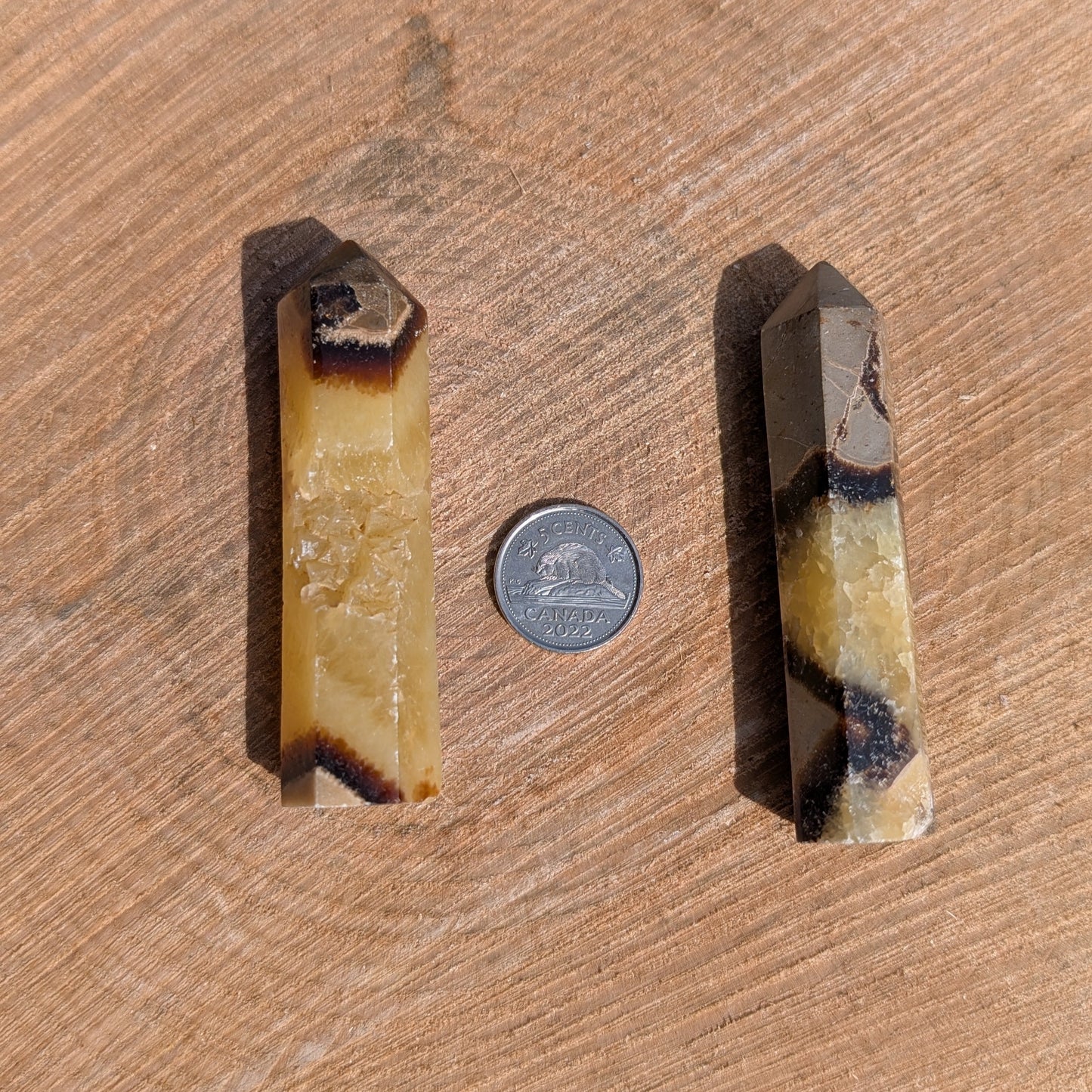 Tour de Septarian