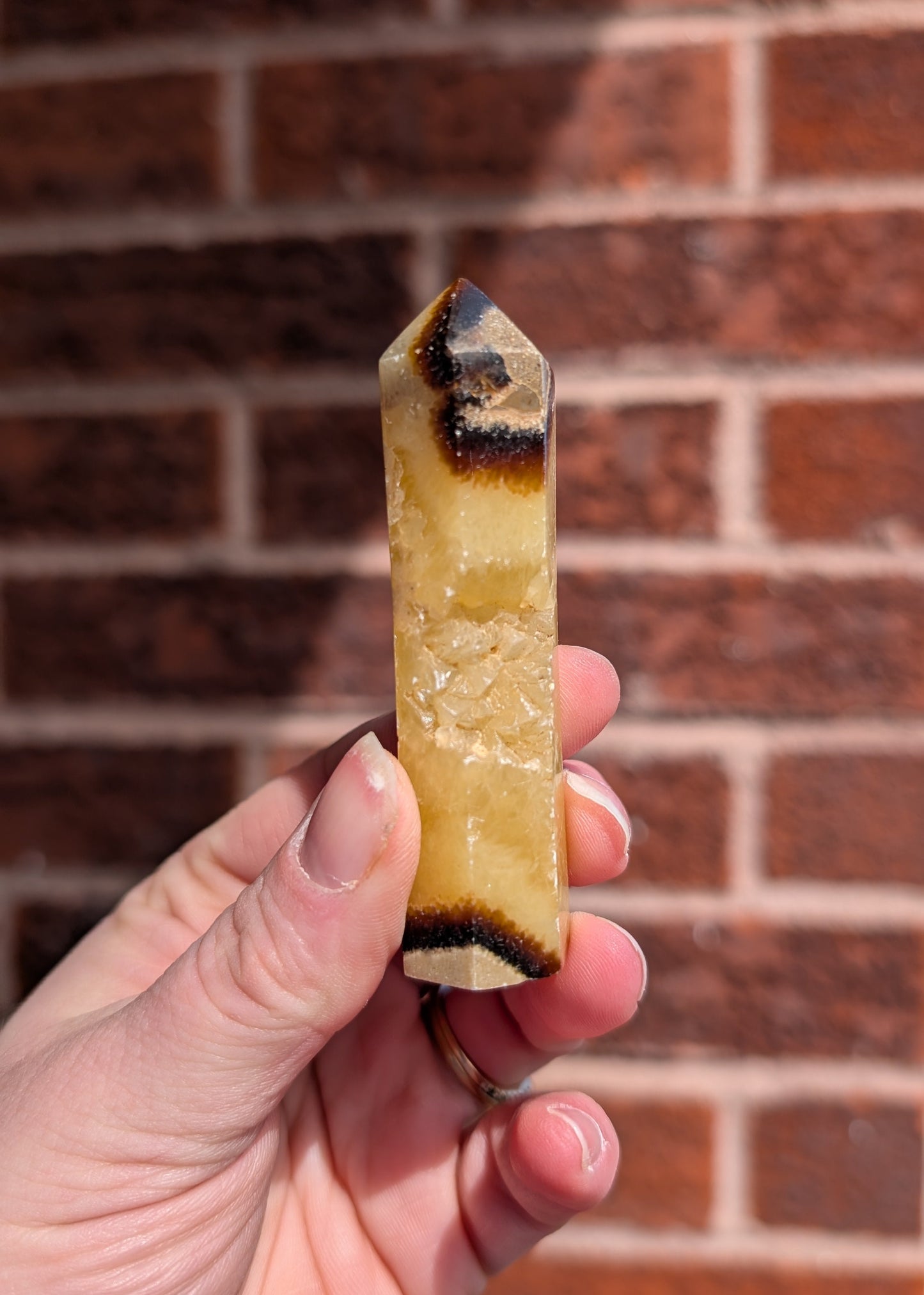 Tour de Septarian
