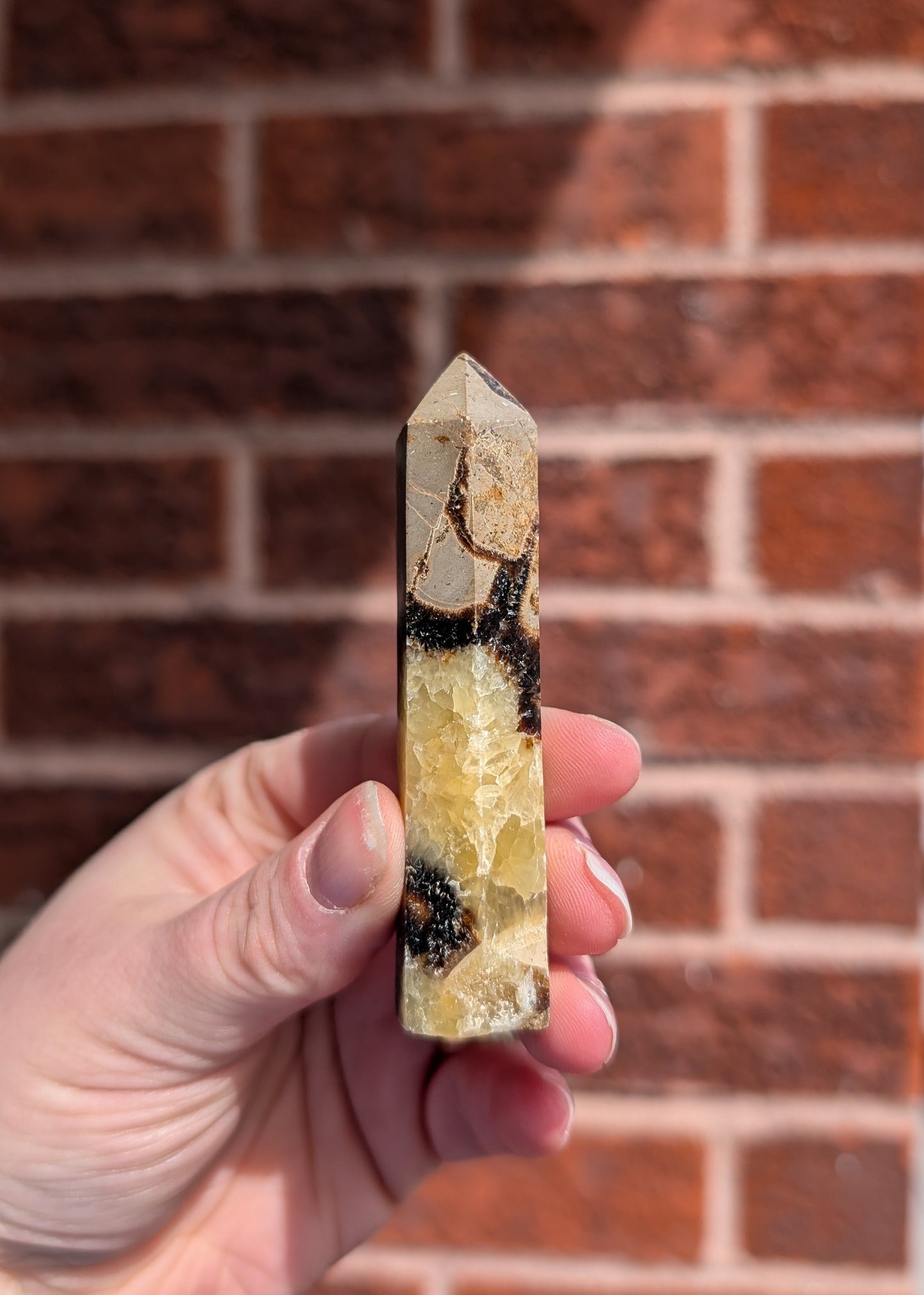 Tour de Septarian