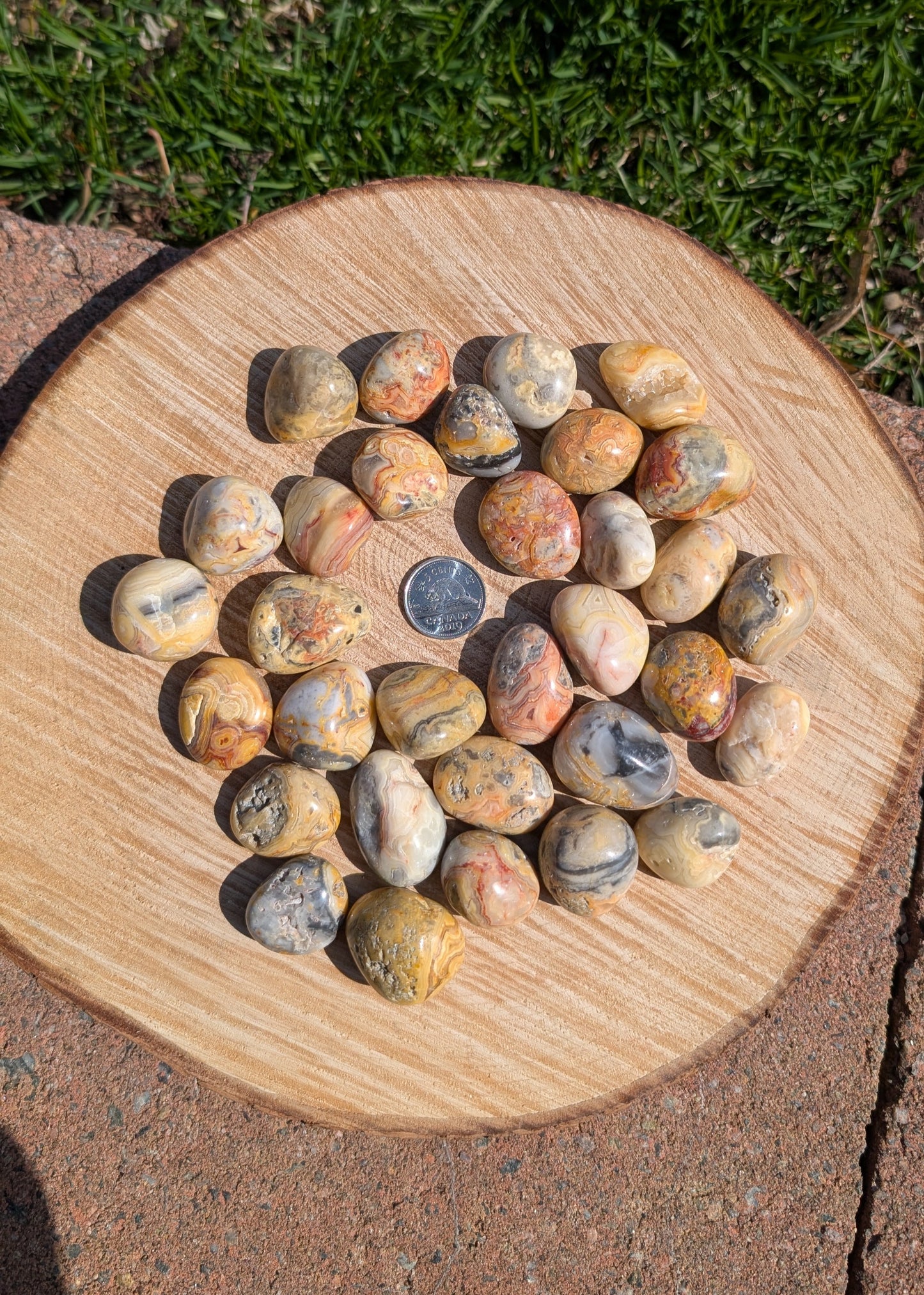 Agate crazy lace tumbled