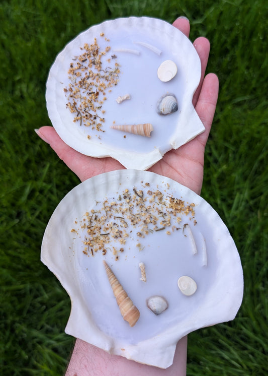 Bougie Coquillage - Mermaid Treasure