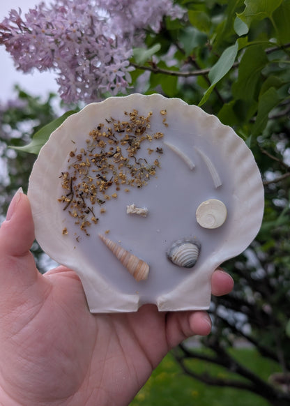 Bougie Coquillage - Mermaid Treasure