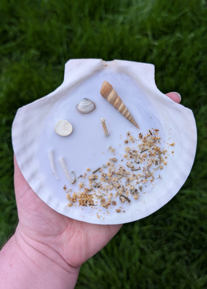 Bougie Coquillage - Mermaid Treasure