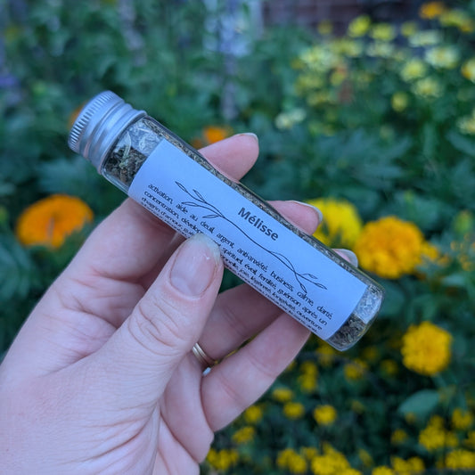 Mélisse (Lemon Balm)