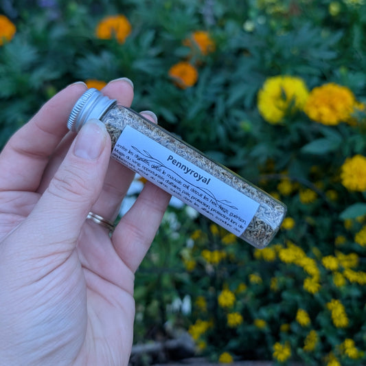 Pennyroyal