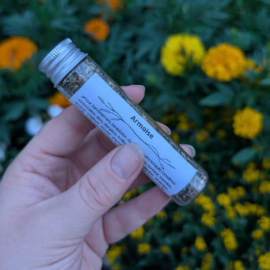 Armoise (mugwort)