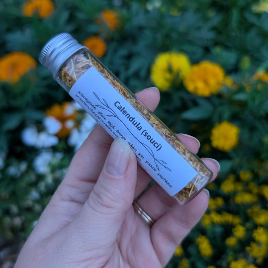 Calendula