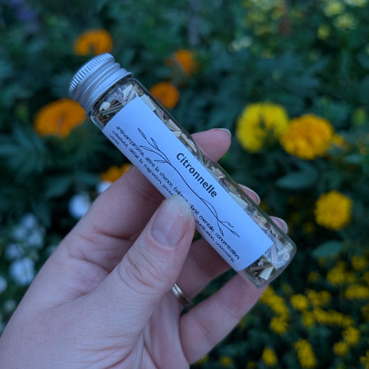 Citronnelle (lemongrass)