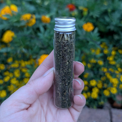 Skullcap