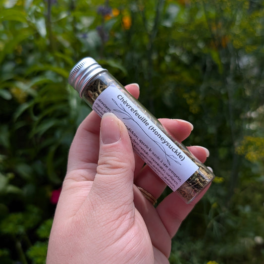 Chèvrefeuille (Honeysuckle)