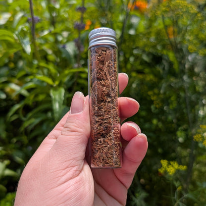 Cat's claw