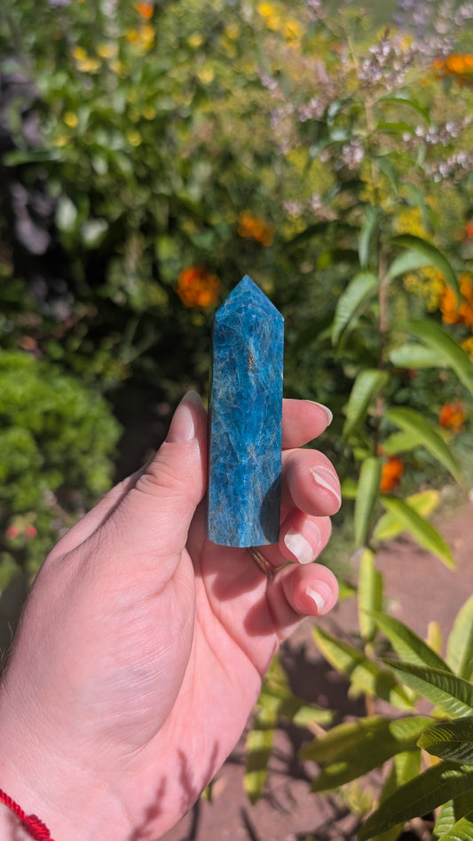 Apatite - tour