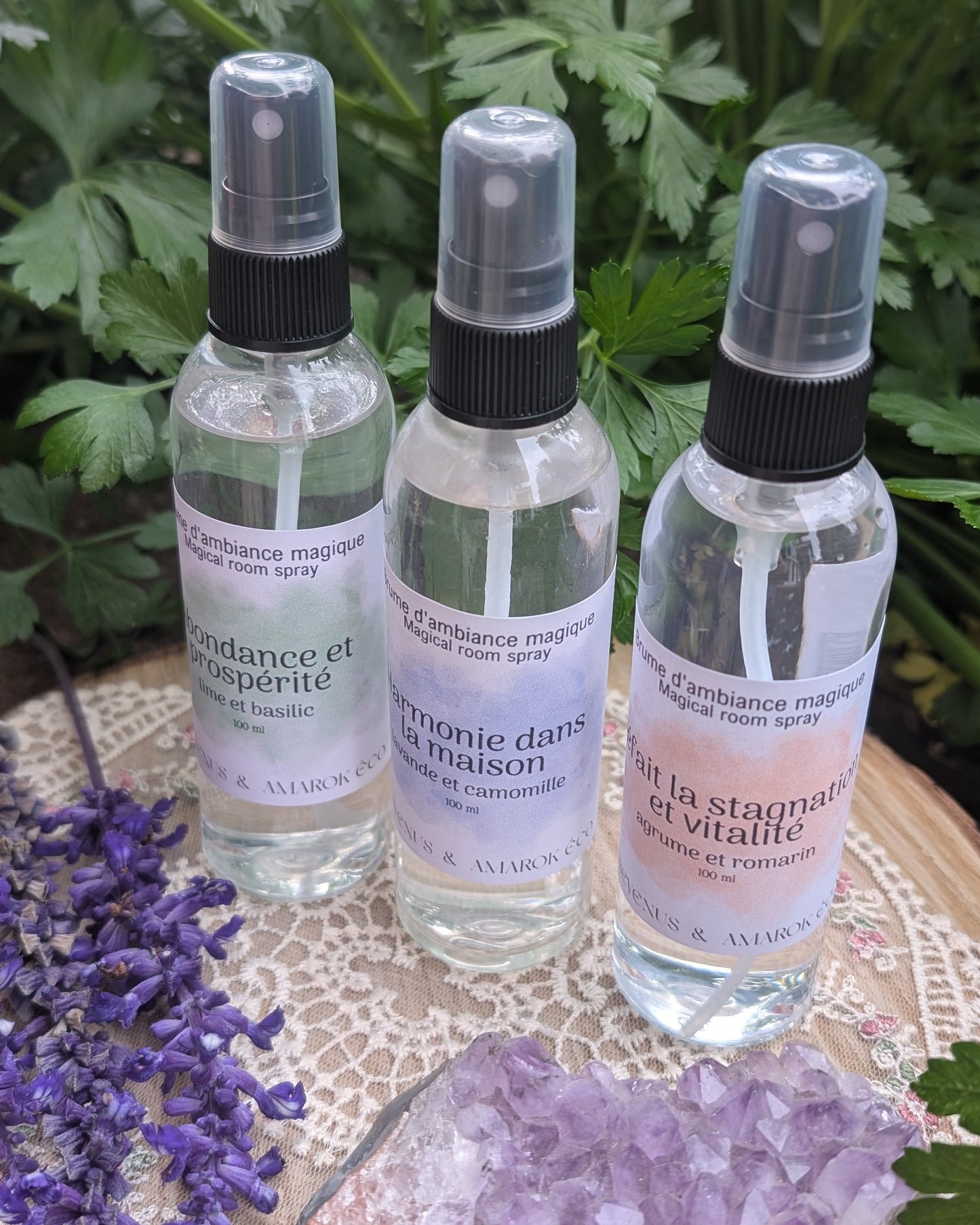 Brume d'ambiance magique - Amarok Éco & Rosevenus