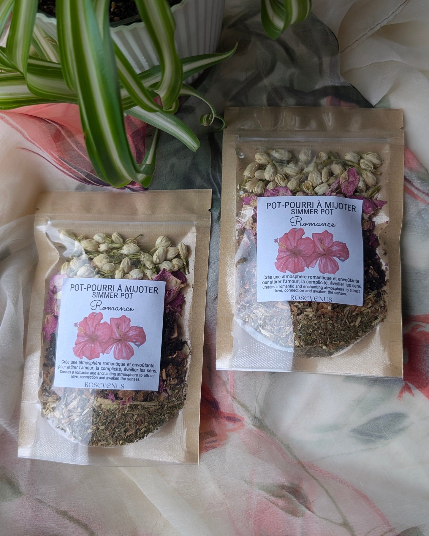 Pot-pourri à mijoter (simmer pot)