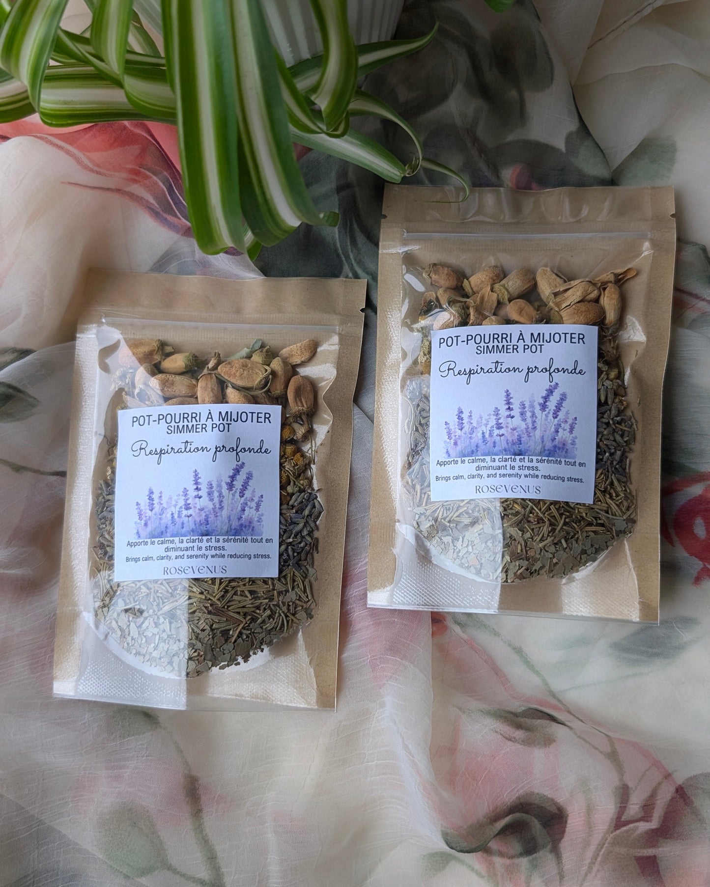 Pot-pourri à mijoter (simmer pot)