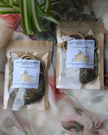 Pot-pourri à mijoter (simmer pot)