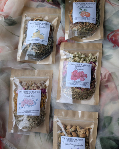 Pot-pourri à mijoter (simmer pot)