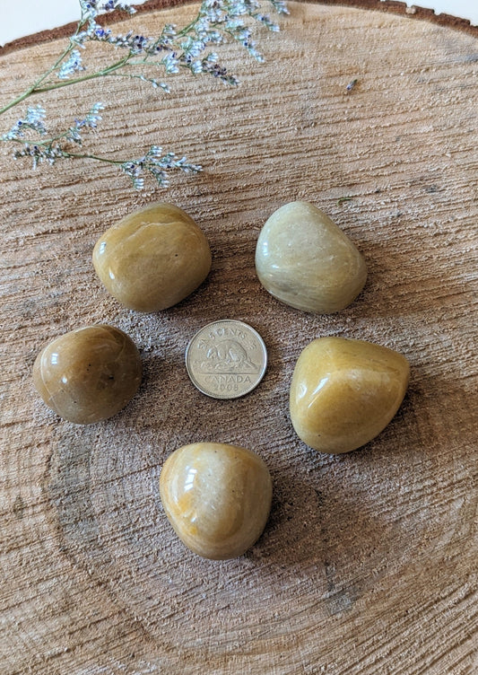 Jaspe jaune tumbled