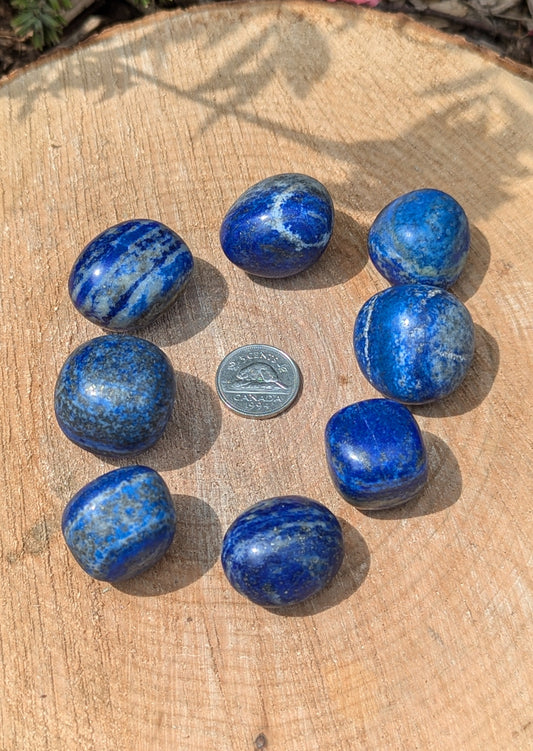 Lapis Lazuli tumbled à