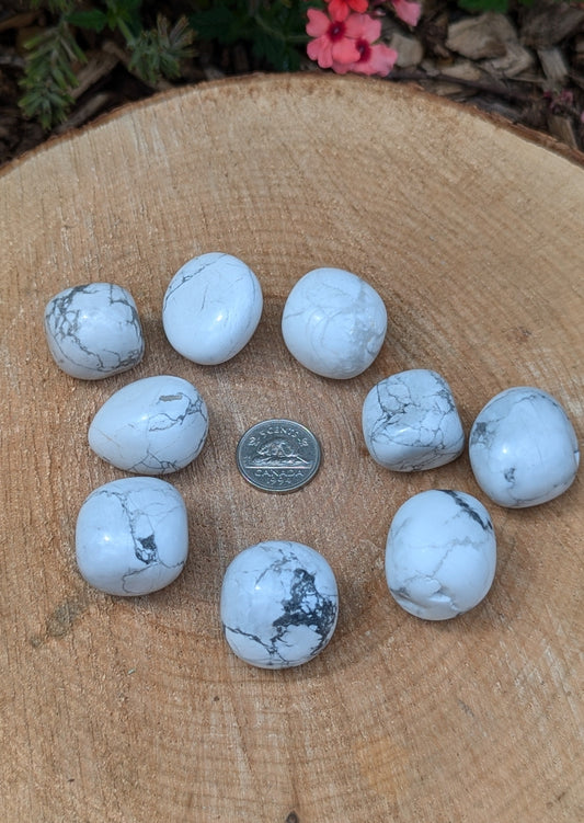 Howlite tumbled LARGE