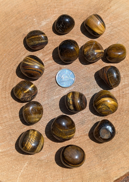 Tiger eye tumbled (oeil du tigre) LARGE