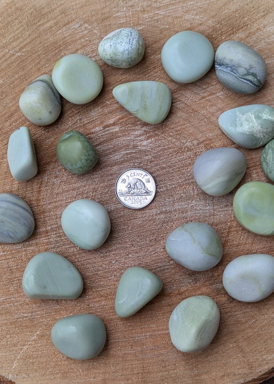 Serpentine tumbled