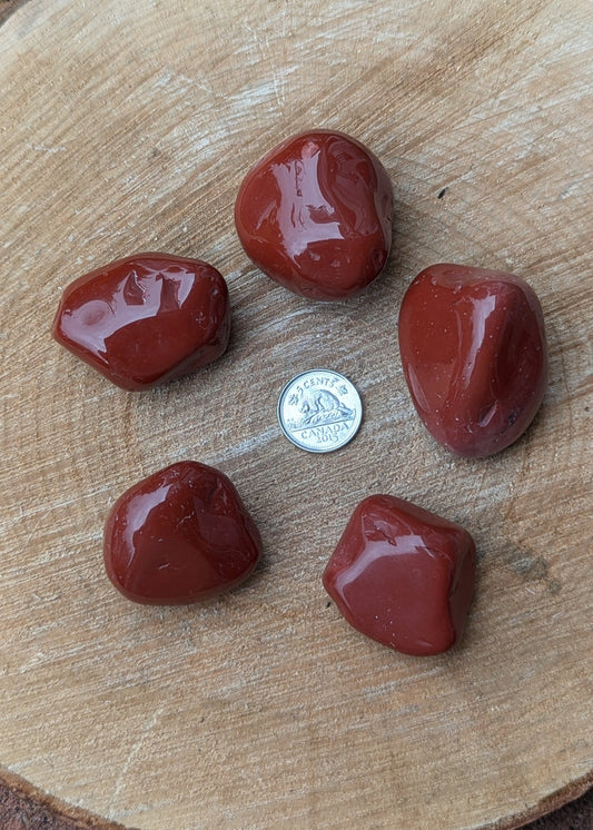 Jaspe rouge tumbled LARGE