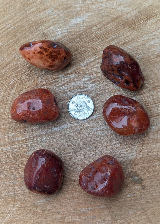 Cornaline tumbled (carnelian) LARGE