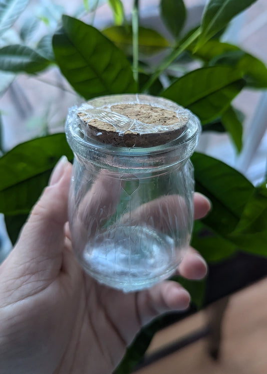 Spell Jar