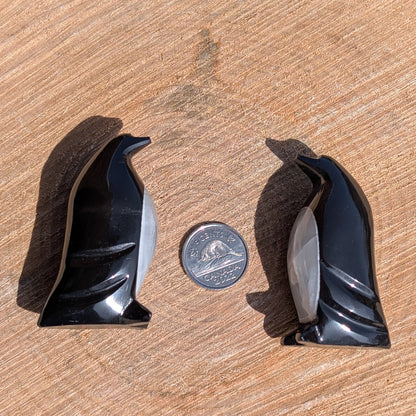 Onyx + Quartz - Pingouin